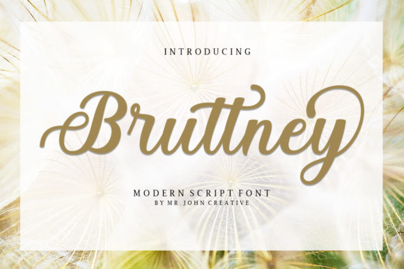 Bruttney: Elegant Typography for Every Design