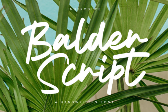 Discover the Elegance of Balder Script