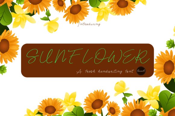 Sunflower: A Fresh Handwritten Font for Creative Projects